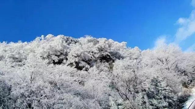 逃出诡异庄园